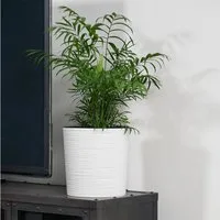 KAGM Pflanzkübel Blumenkübel Blumentopf in Rillenoptik rund 3 Farben 3 Größen (inkl. Pflanzeinsatz)