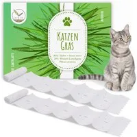 HappySeed Blumensamen Katzengras Samen Saatband 80 x 10 cm, Saatgut