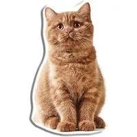 Carbotex Dekokissen Katze Dekokissen 45 cm