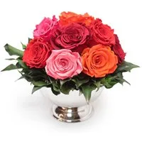 Gestecke Blumengesteck 11 Infinity Rosen in Blumenschale Blumenstrauß Rosenbox Rose, ROSEMARIE SCHULZ Heidelberg, Höhe 18 cm, Echte Blumen 3 Jahre haltbar, Geschenk für Frauen, Made in Germany