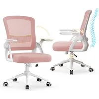 ZAISZE Bürostuhl Ergonomischer Bürostuhl mit Mesh-Rückenlehne und Lendenstütze (Verstellbarer Armlehnen, Atmungsaktiv, Höhenverstellbarer Schreibtischstuhl mit 90° Klappbaren Armlehnen), Verlängerte und Verbreiterte Rückenlehne, Drehstuhl fürs Homeof