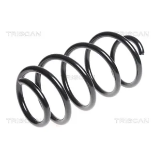 Triscan Feder vorne VW Passat B6 B7 875029296