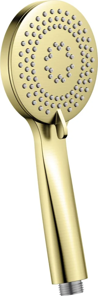 Neuesbad Serie 200 3-Funktions-Handbrause, Gold Gebürstet NB1DENQAR51S1