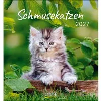 Korsch Verlag Wandkalender Schmusekatzen 2027