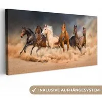 OneMillionCanvasses® Leinwandbild Panorama Pferde - Tiere - Sand - Stoff, Fotodruck (1 St), Wandbild, Deko Schlafzimmer Wohnzimmer Flur 40x20 cm