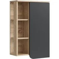Vicco Hängeschrank Karen, Sonoma/Anthrazit, 50 x 75 cm mit Tür und offenen Fächern (1-St)