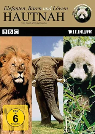 Hautnah - ElefantenBären und Löwen [DVD] [2010]