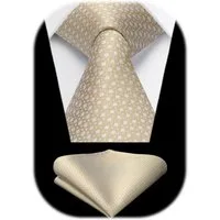 LuxusKollektion Krawatte Krawatte Herren Hochzeit Plaid Hahnentritt Einstecktuch Champagne-1