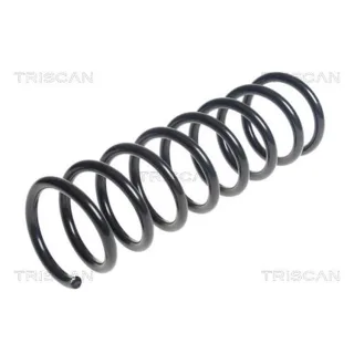 Triscan Feder hinten Ford C-Max 875016105