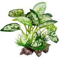 ReptiZoo Terrariendeko ReptiZoo Kunststoffpflanze "White scindapsus aureus" – Terrariendekora