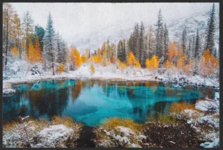 Fussmatte Natur 6339 | Größe: 60 cm x 45 cm