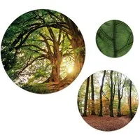 artissimo Mehrteilige Bilder Bilder-Set 3-teilig 55/40/25 cm runde Wandbilder - Wanddeko grün, Landschaft & Natur: Wald und Bäume