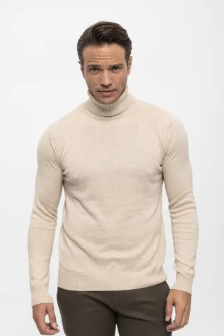 Pullover Rollkragenpullover