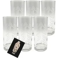 Mixcompany Gläser-Set Coca-Cola Gläser 6er-Set - 0,3L geeicht