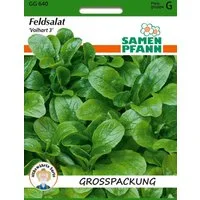 SAMEN PFANN Gemüsesamen Feldsalat, Vollhart 3 Großpackung - Saatgut Salat-Samen Samen, Valerianella locusta