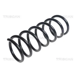 Triscan Feder hinten Ford Grand Volvo Xc70