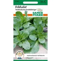 SAMEN PFANN Gemüsesamen Feldsalat, Holländischer Breitblättriger Saatgut Salat-Samen Samen, Valerianella locusta