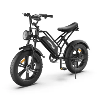 [EU DIRECT] HAPPYRUN HR-G50 Electric Bike 48V 18Ah Battery 750W Motor Recommended Top Speed 25KM/H 20inch Tires 110KM Mi