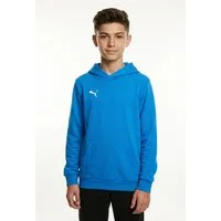 PUMA Kapuzensweatshirt TEAMGOAL CASUALS HOODY JR mit Kapuze, normale Kragenform, reguläre Passform, für Jugendliche