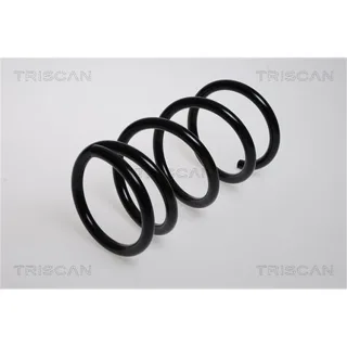 Triscan Feder hinten Honda Civic 7