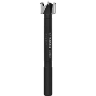 Bosch EXPERT Wood Forstnerbohrer, 15 mm, D8 mm - 2608901824