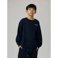 Name It Sweatshirt NKMRIO LS RLX SWEAT BRU NOOS Baumwollmischung