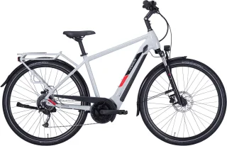 Herren e-Bike  Pegasus Solero Evo 9 Herren grau (Option Akkukapazität: Bosch 400 Wh / Rahmenhöhe: 50 cm | Körpergrösse 160 - 170 cm)