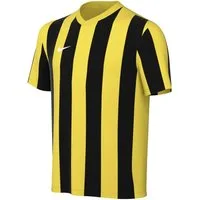 Nike Fußballtrikot Nike Performance Division V Striped Trikot Kids Teamsport