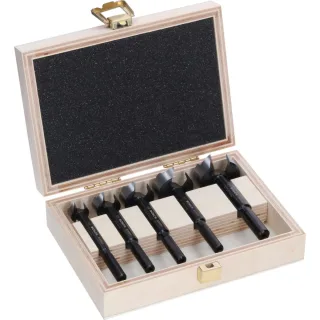 Bosch EXPERT Wood Forstnerbohrersatz, 5-teiliges Set - 2608901843