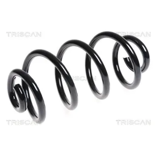 Triscan Feder hinten Nissan Qashqai 1 87501492