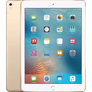 Apple iPad 5 (2017) 32GB [97" WiFi only] gold
