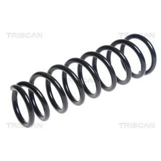 Triscan Feder hinten Mitsubishi Outlander 875042115