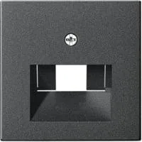 Zentralplatte Universal-Anschluss-Einheit / ISDN-Anschluss-Einheit anthrazit, Retail