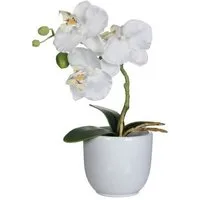 Kunstpflanze Mica Kunstpflanze Phalaenopsis im Topf weiß, 26 x, Mica Decorations