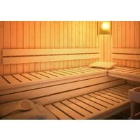 Karibu Sauna-Rückenlehne Premium Set 2 (2 St), inkl. Bankblende