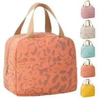 Diwzbyn Kühltasche Kleine Kühltasche Für Unterwegs - Wiederverwendbare, Wasserdichte, Isolierte Lunchtasche mit Alufolie Thermo-Isolierung
