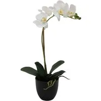Kunstorchidee Orchidee Phalaenopsis, Creativ green, Höhe 45 cm, mit täuschend echten Blüten