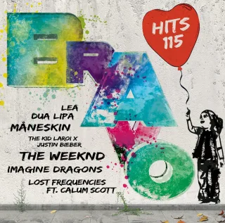 Bravo HitsVol.115
