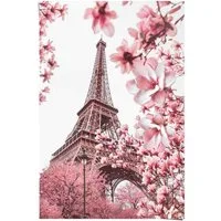 Reinders! Poster Paris in Rosa