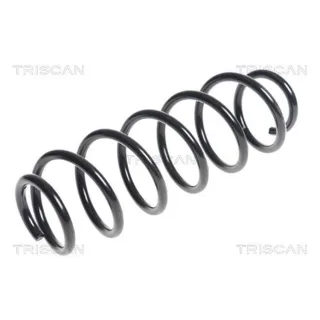 Triscan Feder hinten Citroen Ds3 DS Ds