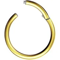Taffstyle Nasenpiercing Clicker Ohr Universal Piercing Titan G23 oder Chirurgenstahl (Vielseitiger Segmentring aus Titan oder Chirurgenstahl in vielen Farben und Größen), Scharnier Klicker für Septum Ohr Nase Lippe