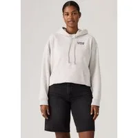 Levi's® Hoodie GRAPHIC EVERYDAY HOODIE