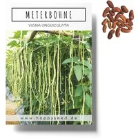 HappySeed Gemüsesamen Meterbohne Samen - Vigna unguiculata, Blumen