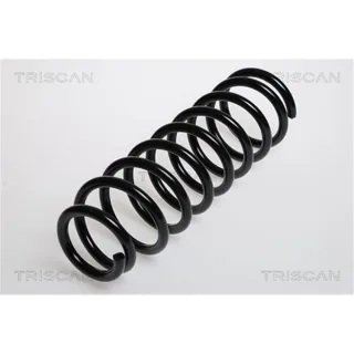 Triscan Feder Hinten Suzuki Grand Vitara