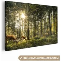OneMillionCanvasses® Leinwandbild Hirsche - Natur - Wald, Fotodruck (1 St), Leinwand Bilder Klein, Wand Dekoration Aesthetic 30x20 cm