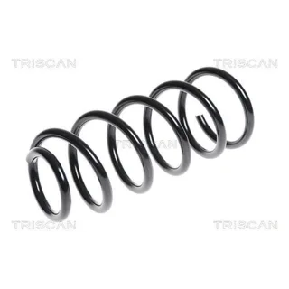 Triscan Feder hinten Mini 875011106