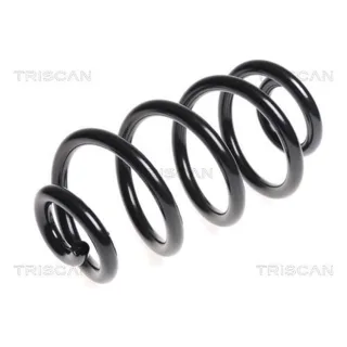 Triscan Feder hinten Nissan Qashqai 1 875014104