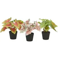 Künstliche Zimmerpflanze Blattpflanzen Mini, Creativ green, Höhe 20 cm, mit schönen Blattfarben