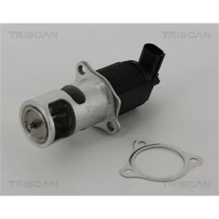 Triscan AGR-Ventil Nissan Opel Renault 881325005