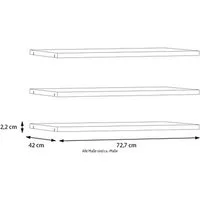 FORTE Einlegeboden, Einlegeböden 2,2 cm Stärke, optional bestellbar, 3er Set